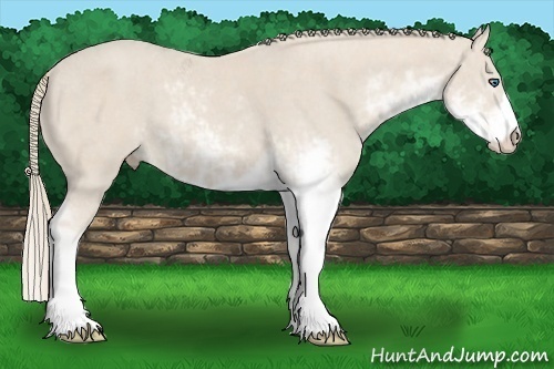 Horse Color:Smoky Creme Sabino  Brindle