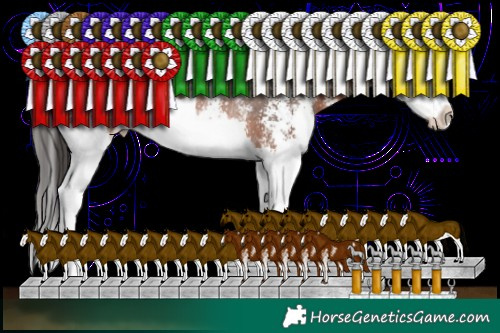 Horse Color:Brown Sabino Splash Rabicano