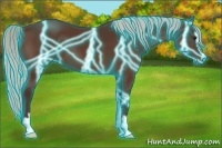 Horse Color:Thunderstruck Silver Bay Sabino
