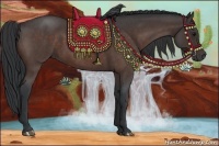 Horse Color:Bay Roan 