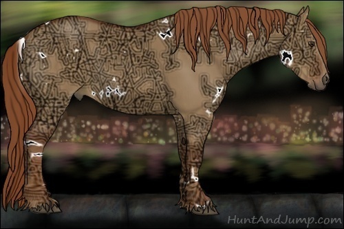 Horse Color:White Spotted Red Dun Ice 