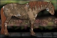 Horse Color:White Spotted Red Dun Ice 