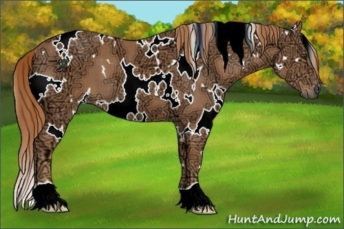 Horse Color:White Spotted Chestnut Ice 