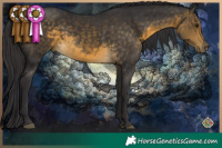 Horse Color:Buckskin