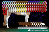 Horse Color:Black Pearl Sabino Tobiano Rabicano 