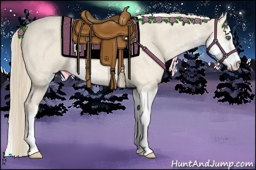 Horse Color:Perlino Sabino Brindle