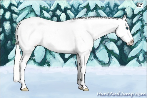 Horse Color:Cremello Sabino Near Leopard Brindle