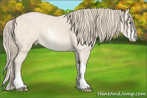 Horse Color:Perlino Sabino Brindle