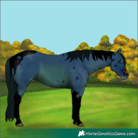 Horse Color:ERROR: UNKNOWN ANOMALY