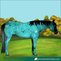 Horse Color:ERROR: UNKNOWN ANOMALY