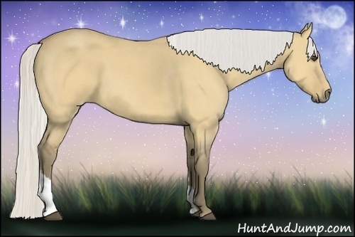 Horse Color:Silver Buckskin Dun Tobiano 