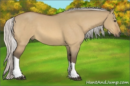 Horse Color:Silver Buckskin Dun Tobiano