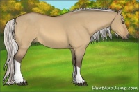 Horse Color:Silver Buckskin Dun Tobiano 