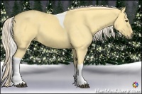 Horse Color:Palomino Dun Tobiano 