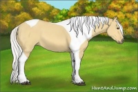 Horse Color:Silver Buckskin Dun Tobiano