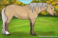 Horse Color:Silver Buckskin Dun Tobiano