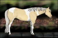 Horse Color:Silver Buckskin Dun Tobiano 