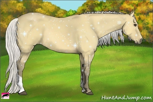 Horse Color:Silver Buckskin Dun Tobiano 