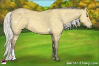 Horse Color:Silver Buckskin Dun Tobiano