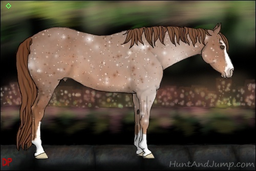 Horse Color:Chestnut Sabino 