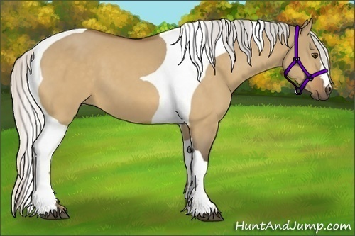 Horse Color:Silver Buckskin Dun Tobiano 