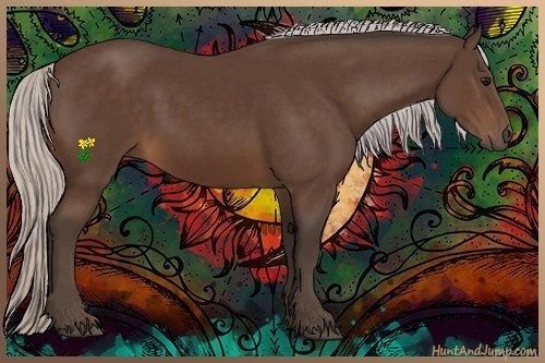 Horse Color:Silver Brown 