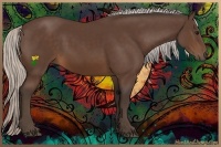 Horse Color:Silver Brown 