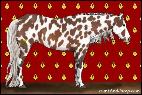 Horse Color:Silver Brown Snowflake Varnish