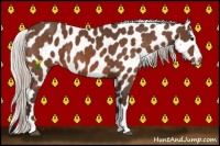 Horse Color:Silver Brown Snowflake Varnish 
