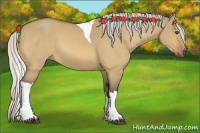 Horse Color:Silver Buckskin Dun Tobiano 