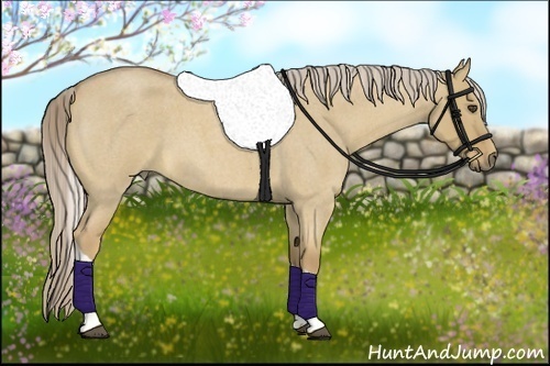 Horse Color:Palomino Roan Dun Tobiano 