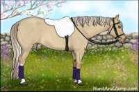 Horse Color:Palomino Roan Dun Tobiano 