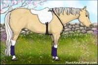 Horse Color:Silver Buckskin Dun Tobiano 