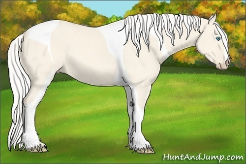 Horse Color:Silver Perlino Dun Tobiano