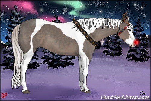 Horse Color:Silver Black Splash Tobiano 