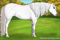 Horse Color:White Spotted Silver Bay Rabicano