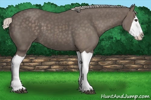 Horse Color:Silver Black Splash