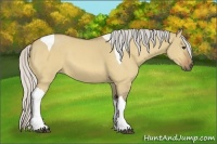Horse Color:Silver Buckskin Dun Tobiano 