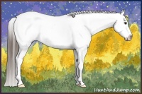 Horse Color:Liver Chestnut Frame Appaloosa