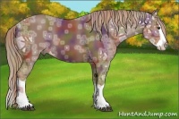 Horse Color:Nacre Chestnut Ice Splash