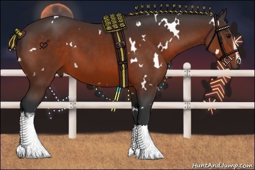 Horse Color:White Spotted Bay