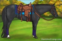 Horse Color:Black Tobiano