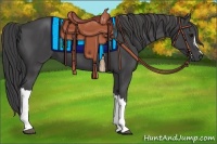 Horse Color:Smoky Black 