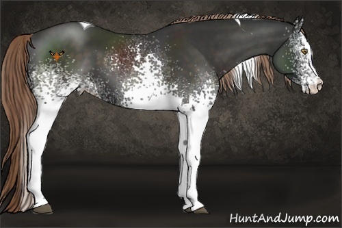 Horse Color:White Spotted Liver Chestnut Tobiano