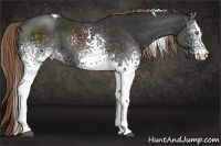 Horse Color:White Spotted Liver Chestnut Tobiano 