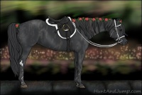 Horse Color:Black  Brindle