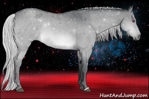 Horse Color:Silver Brown Chinchilla Roan Rabicano 