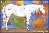 Horse Color:Watercolor Silver Sable Champagne Splash Tobiano Frame Near Leopard Rabicano