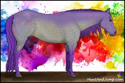 Horse Color:Watercolor Buckskin 
