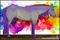 Horse Color:Watercolor Buckskin